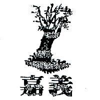 嘉義及圖