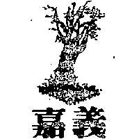 嘉義及圖