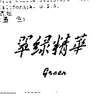 翠綠精華 Green