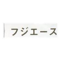 フジエㄧス