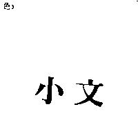 小文