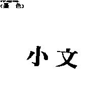 小文