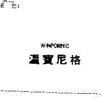 溫寶尼格 WINPORNIC