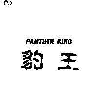 豹王 PANTHER KING