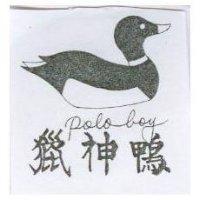獵神鴨及圖 Poloboy