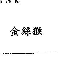 金絲猴