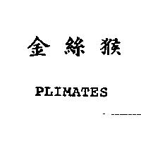 金絲猴 PLIMATES