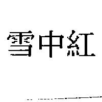 雪中紅