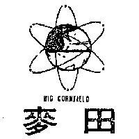 麥田及圖 BIG CORNFIELD 