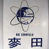 麥田 BIG CORNFIELD 及圖 