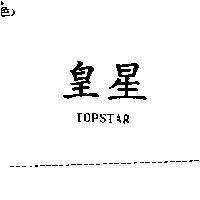 皇星 TOPSTAR