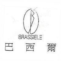 巴西爾 BRASSIELE 及圖