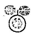 百果香股份有限公司