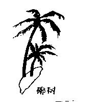 椰樹及圖