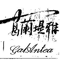 葛蘭堤雅 GALANTEA
