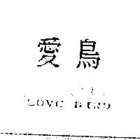 愛鳥 LOVE BIRD
