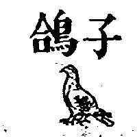 鴿子及圖