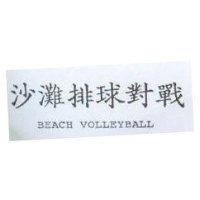 沙灘排球對戰 BEACH VOLLEYBALL