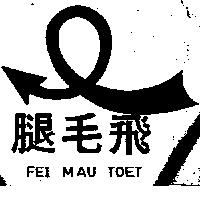 飛毛腿及圖