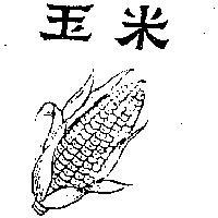 玉米