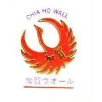 加賀ウオㄧル CHIA HO WALL 及圖