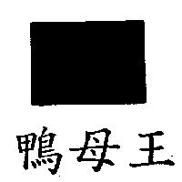 鴨母王及圖 QUEEN DUCK