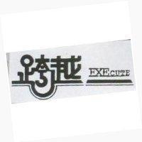 跨越及圖 EXECUTE
