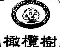 橄欖樹及圖 OLIVE NOKI