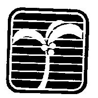 椰樹圖