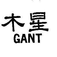 木星 GANT 