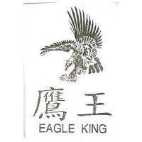 鷹王及圖 EAGLE KING