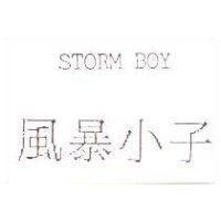 風暴小子 STORM BOY