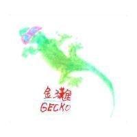 金灘 GECKO 及圖