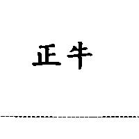 正牛