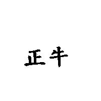 正牛