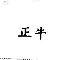 正牛