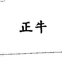 正牛