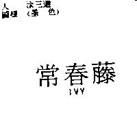 常春藤 IVY