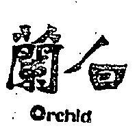 白蘭 ORCHID 