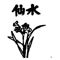 水仙