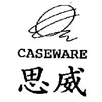 思威 CASEWARE 及圖