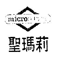 聖瑪莉及圖 micronotizia