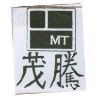 茂騰 MT 及圖