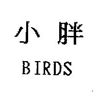 小胖 BIRDS