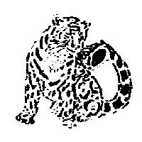 豹圖