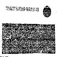 登盛公司標章 (彩色)