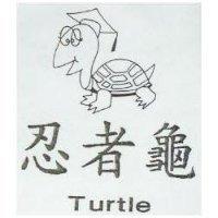 忍者龜及圖 TURTLE