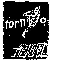 龍捲風及圖 TORNADO