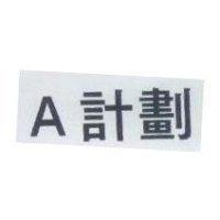 A 計劃