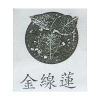 金線蓮及圖